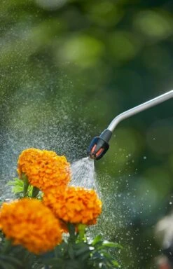 GARDENA Drukspuit 5 L -Tuinmaterialen Verkoop gardena drukspuit 5 l 1619704865 1 l