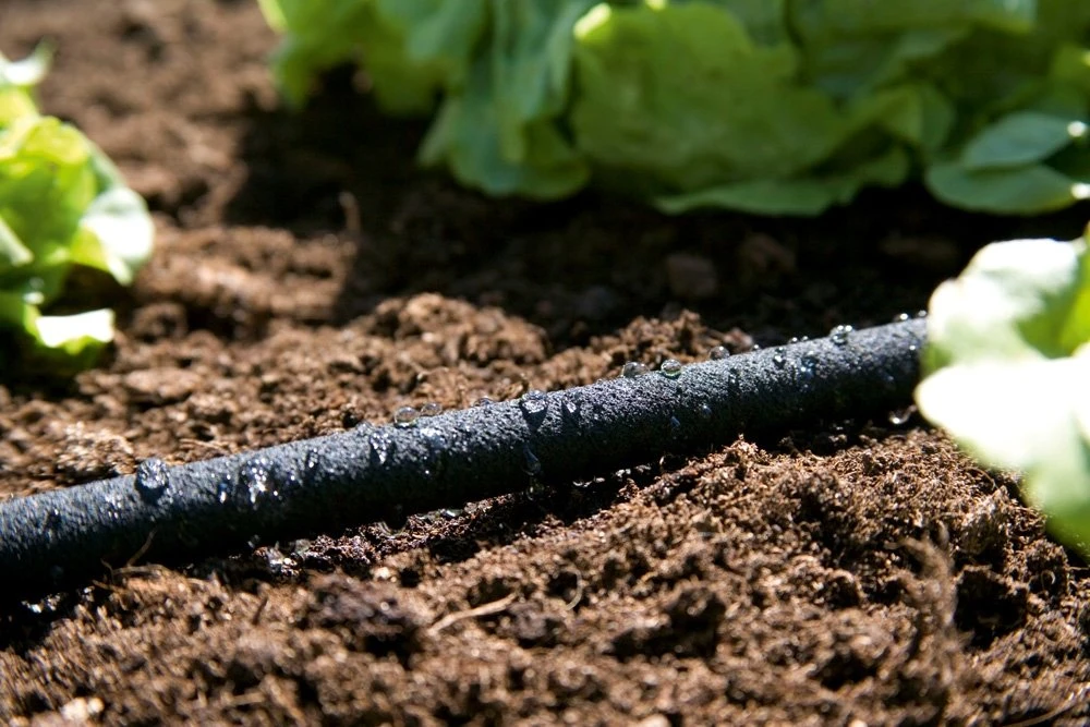 GARDENA Duizenddruppelslang 15m 2 GARDENA Duizenddruppelslang 15m - Afbeelding 2