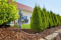 GARDENA Micro-Drip-System Startset M 25m Autom. Rijplanten -Tuinmaterialen Verkoop gardena startset m 25m autom 1500x1000 640af4f6bb51a l