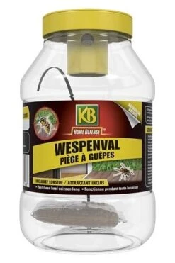 KB Wespenval Met Lokstof 1 Stuk