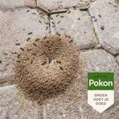 Pokon Tegen Mieren Korrels 400gr -Tuinmaterialen Verkoop pokon tegen mieren korrels 400gr 1000x1000 6221fb52c5ede l